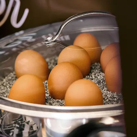 Kassel-wilhelmshoehe Отель